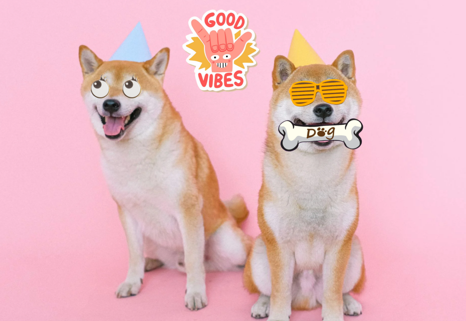 이미지에서 스티커 제거