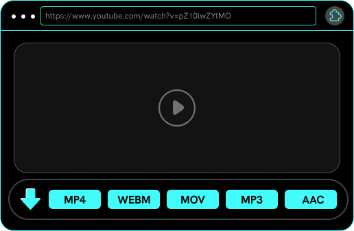 download videos and music