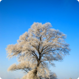사진 글자 지우기